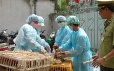 Bộ Y tế họp khẩn về phòng chống cúm A/H7N9